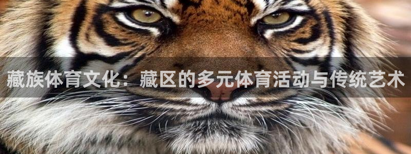 杏耀体育老板是谁