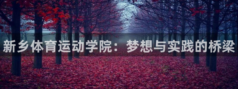 杏耀2平台