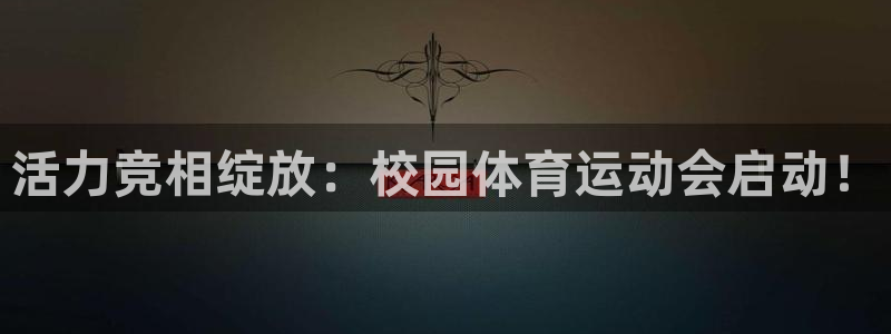 杏耀手机登录线路测速