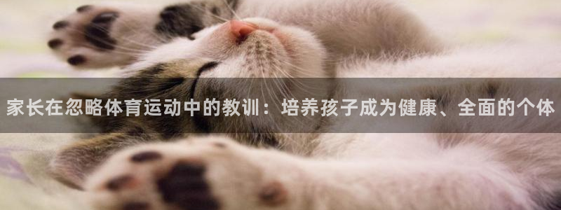 杏耀体育平台登录入口