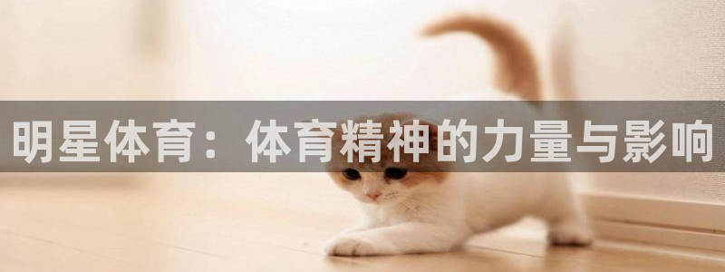 杏耀体育在线注册