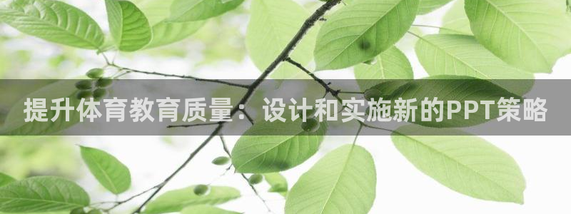杏耀2登录
