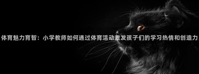 杏耀零能源集团