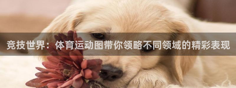 娱乐杏耀