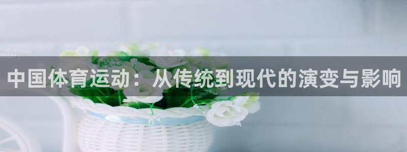 杏耀能源