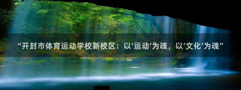 杏耀网