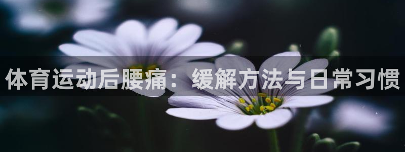 杏耀体育凯捷平台代理