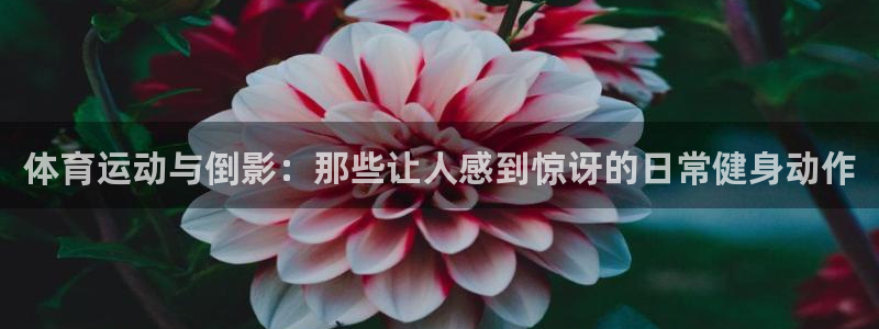杏耀官网
