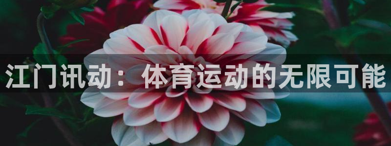 杏耀平台下载