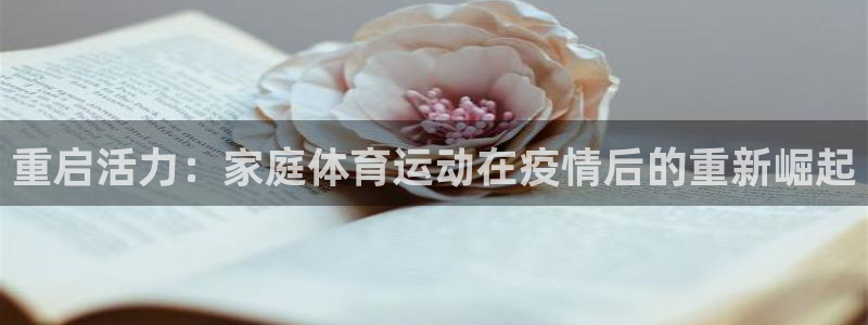 杏耀3