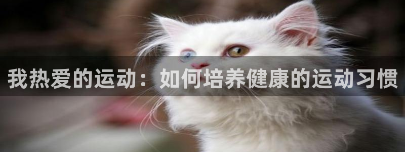 杏耀体育
