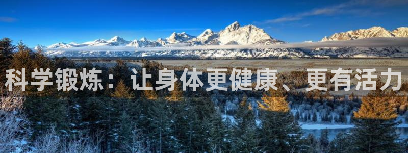 杏耀体育官网入口登录