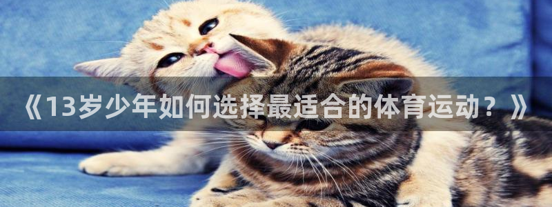 杏耀官网测速