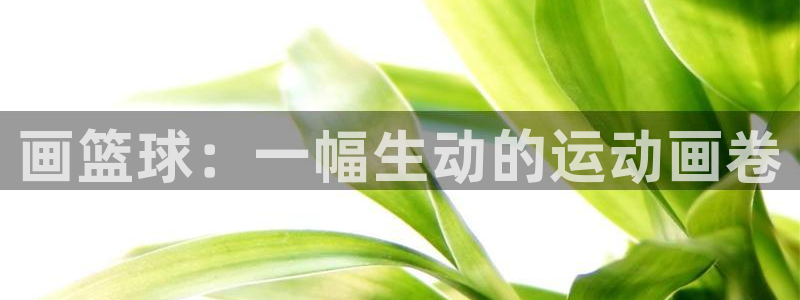 杏耀4官网