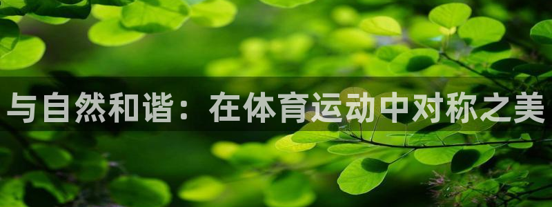 杏耀平台测速