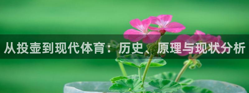 杏耀股份