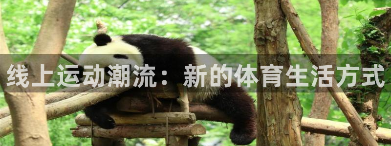 杏耀娱乐注册