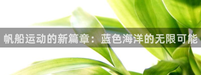 杏耀注册登录代理