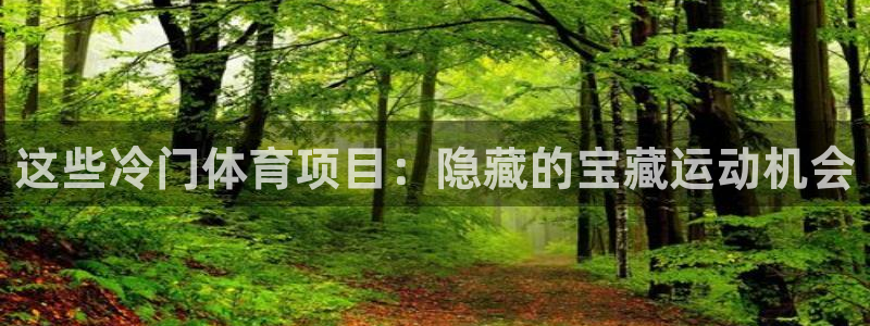 成都杏耀电子有限公司
