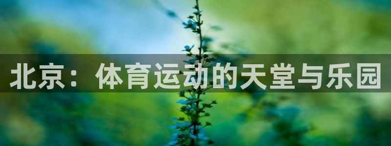 杏耀平台登录网址